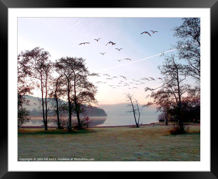 Dawn flight. Framed Mounted Print by john hill