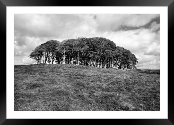 The Nearly Home trees Black and White Framed Mounted Print by Diana Mower