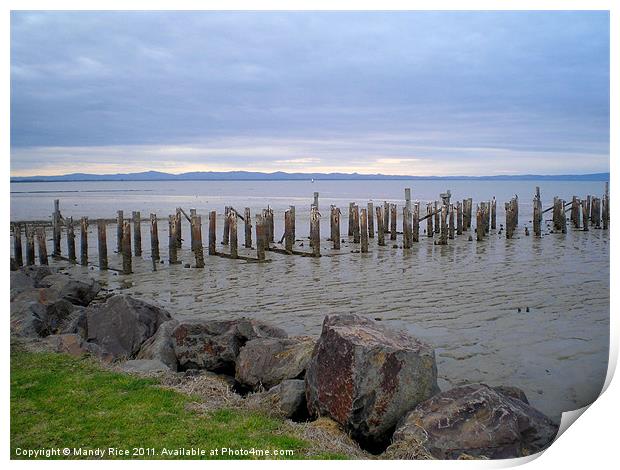Remains of a Jetty Print by Mandy Rice