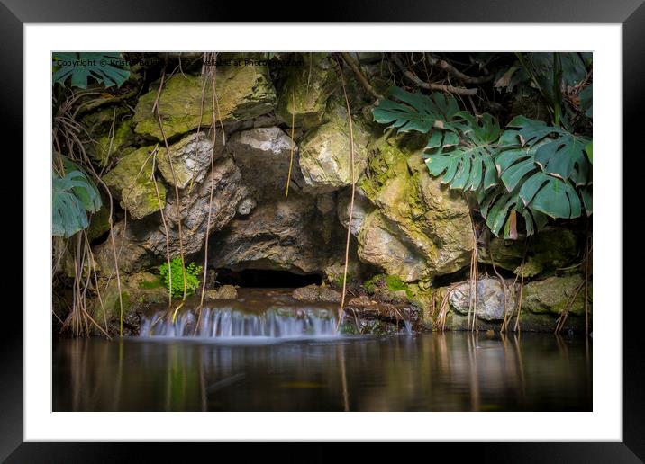 tropical garden pond with waterfall and rock wall Framed Mounted Print by Kristof Bellens