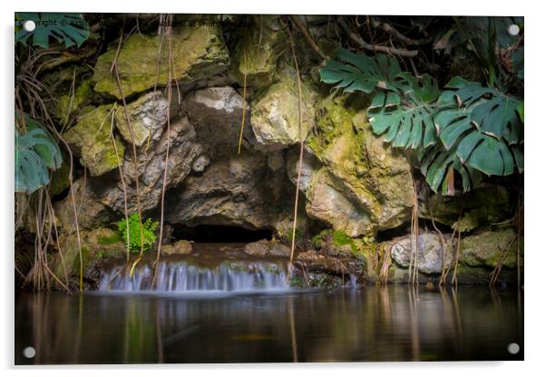 tropical garden pond with waterfall and rock wall Acrylic by Kristof Bellens
