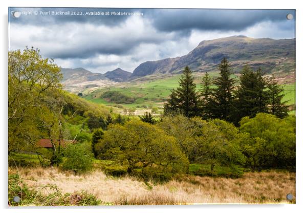 Cwm Pennant Valley Snowdonia Landscape Acrylic by Pearl Bucknall