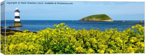 Penmon point flowers Canvas Print by Mark Chesters