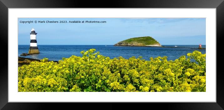 Penmon point flowers Framed Mounted Print by Mark Chesters