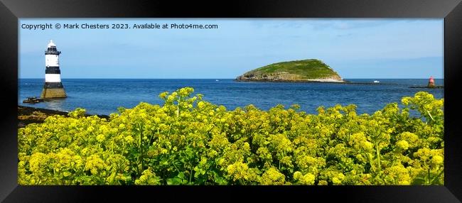 Penmon point flowers Framed Print by Mark Chesters