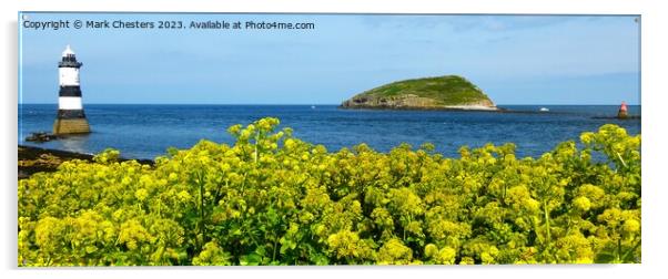 Penmon point flowers Acrylic by Mark Chesters