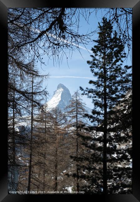 View of the Matterhorn from the hiking trail to Sunnegga, Zermat Framed Print by J Lloyd