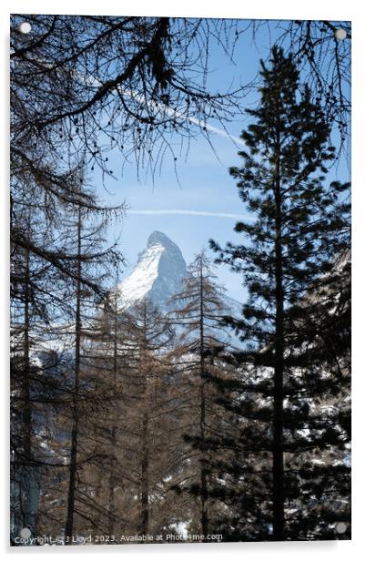View of the Matterhorn from the hiking trail to Sunnegga, Zermat Acrylic by J Lloyd