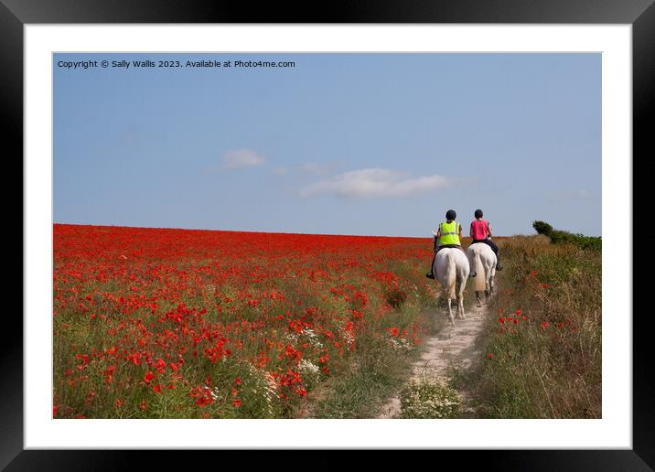 Horses through poppies Framed Mounted Print by Sally Wallis