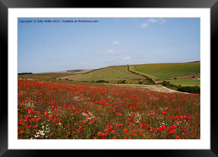 Poppies on South Downs Framed Mounted Print by Sally Wallis