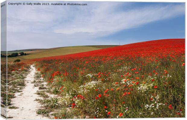 Trail over South Downs Canvas Print by Sally Wallis