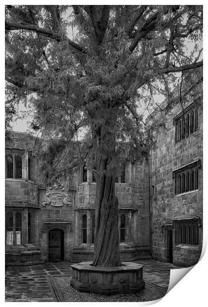 Skipton Castle Courtyard  Print by Glen Allen