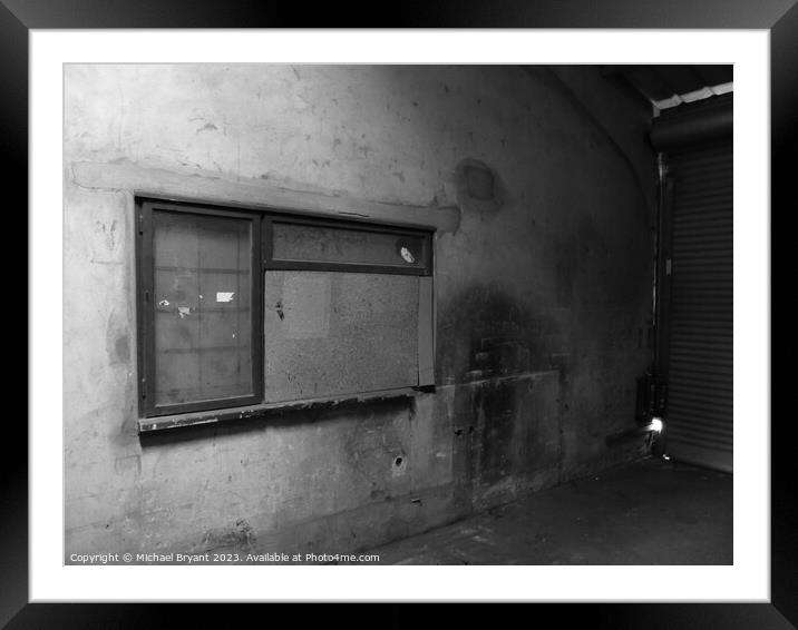 Decaying Beauty Framed Mounted Print by Michael bryant Tiptopimage