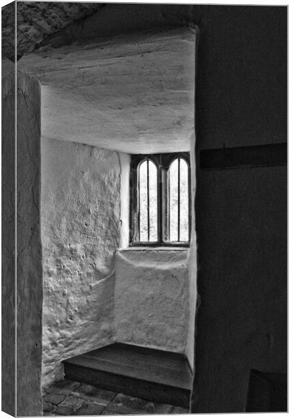 Views Through Medieval Windows 07 Skipton Castle Mono Canvas Print by Glen Allen