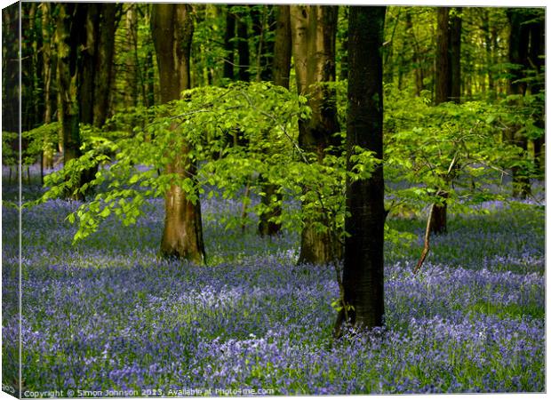 Plant tree Canvas Print by Simon Johnson