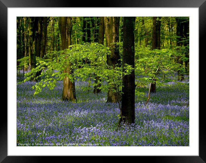 Plant tree Framed Mounted Print by Simon Johnson