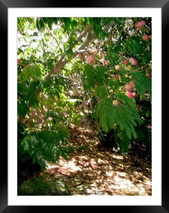 Backyard Jungle 2 Framed Mounted Print by Stephanie Moore