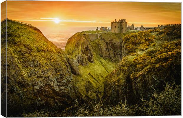 Sunrise at Dunnottar Castle in Stonehaven Scotland Canvas Print by DAVID FRANCIS