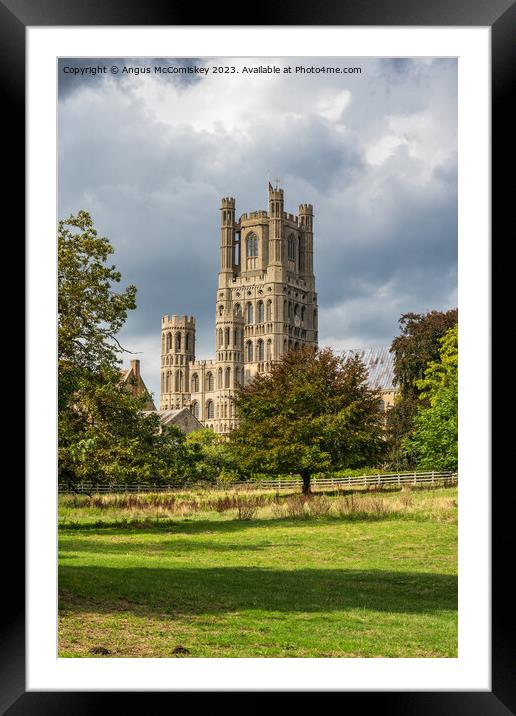 Ely Cathedral from Cherry Hill Park Framed Mounted Print by Angus McComiskey