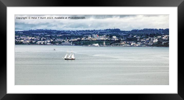 TS Royalist In Torbay Framed Mounted Print by Peter F Hunt