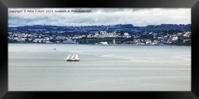 TS Royalist In Torbay Framed Print by Peter F Hunt