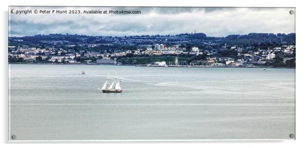 TS Royalist In Torbay Acrylic by Peter F Hunt