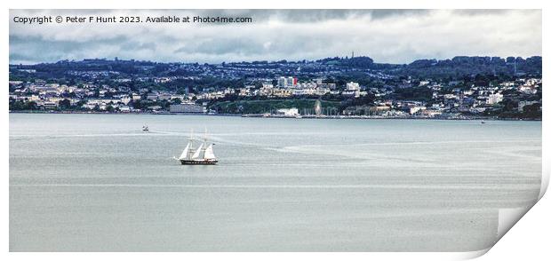 TS Royalist In Torbay Print by Peter F Hunt
