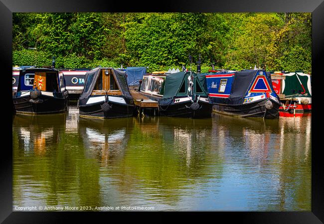  Canal Boats at Braunston Marina Framed Print by Anthony Moore