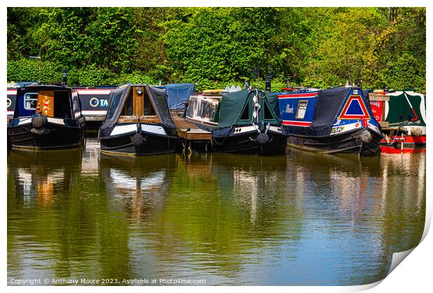  Canal Boats at Braunston Marina Print by Anthony Moore