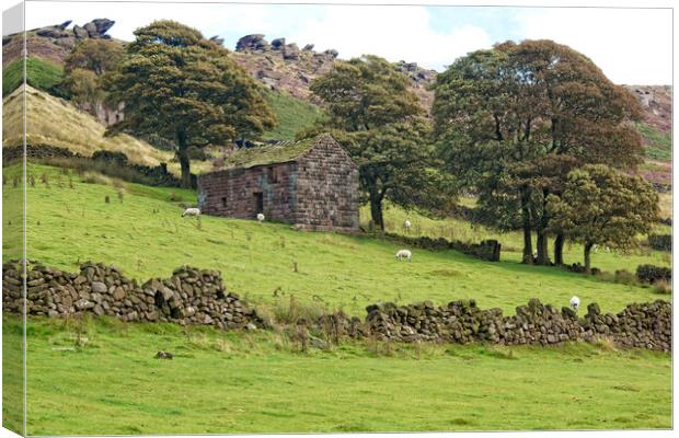 Derelict barn on the Staffordshire Roaches. Canvas Print by David Birchall