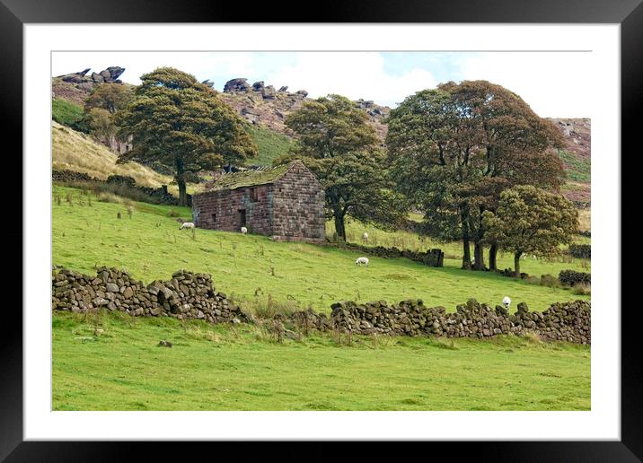 Derelict barn on the Staffordshire Roaches. Framed Mounted Print by David Birchall