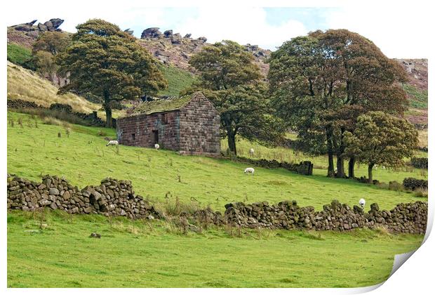Derelict barn on the Staffordshire Roaches. Print by David Birchall