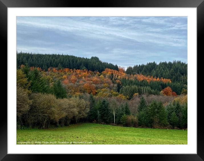 Autumn Forest Framed Mounted Print by Philip Teale