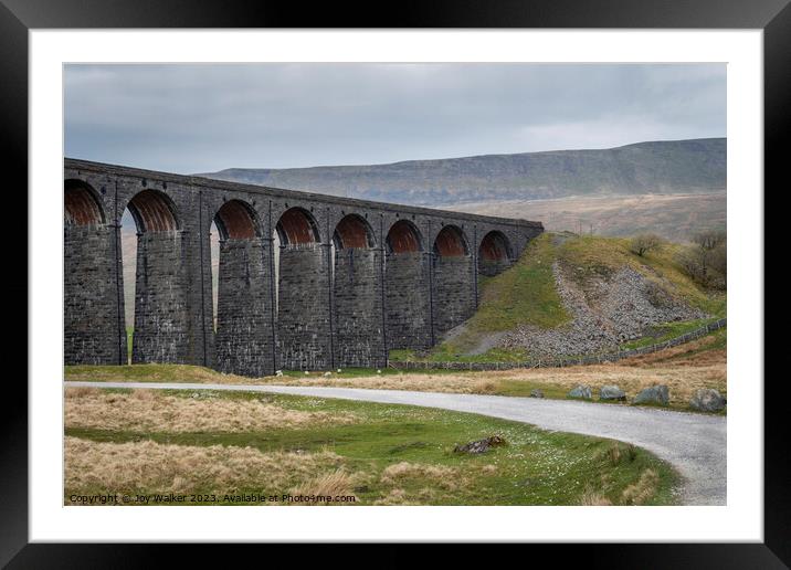 Ribble viaduct train crossing, Yorkshire, UK Framed Mounted Print by Joy Walker