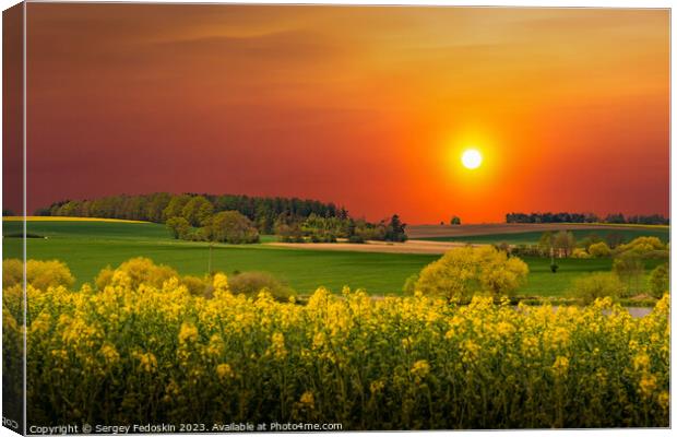 Rural area with rapeseed fields and forests at sunset Canvas Print by Sergey Fedoskin