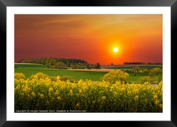 Rural area with rapeseed fields and forests at sunset Framed Mounted Print by Sergey Fedoskin