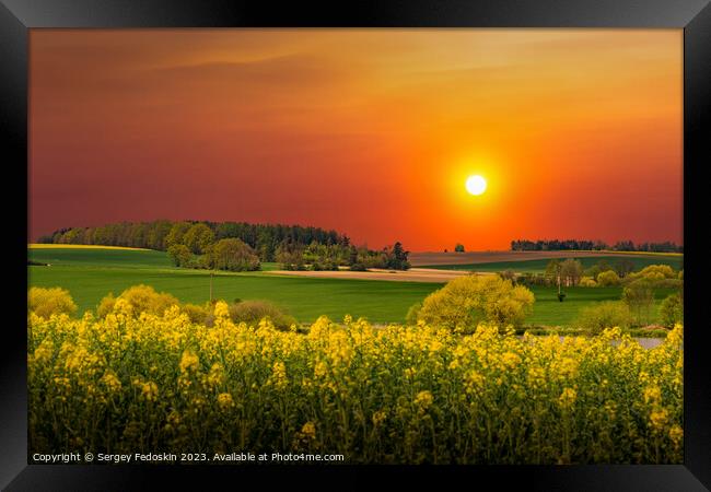 Rural area with rapeseed fields and forests at sunset Framed Print by Sergey Fedoskin