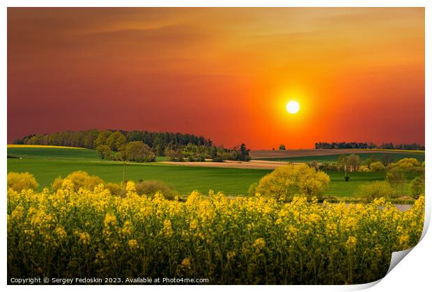 Rural area with rapeseed fields and forests at sunset Print by Sergey Fedoskin