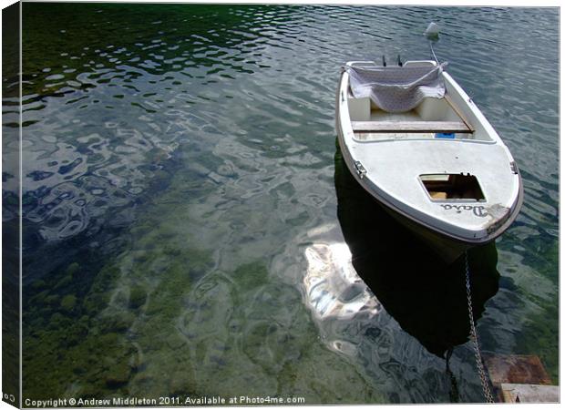 Boat on Bohinj Canvas Print by Andrew Middleton