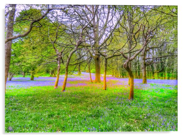 Enchanting Bluebell Forest Acrylic by Beryl Curran