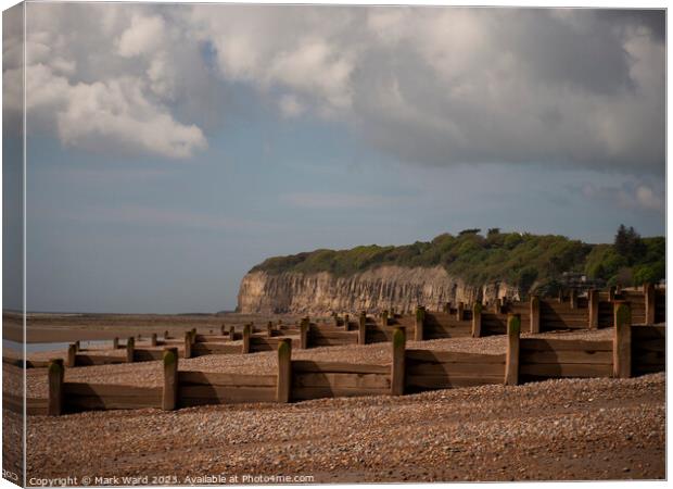 Pett Level at Low Tide Canvas Print by Mark Ward