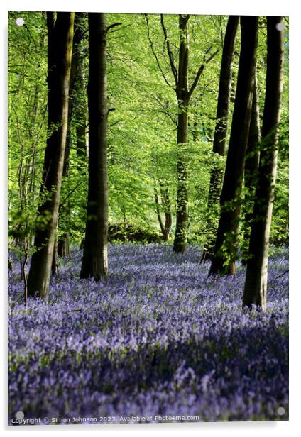 Bluebell Woodland Acrylic by Simon Johnson