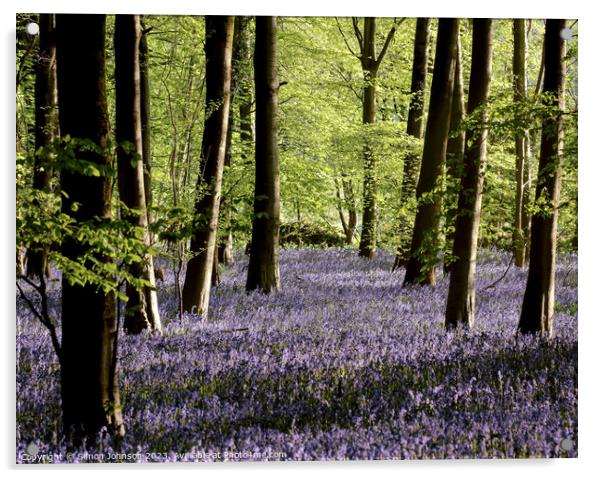 bluebell Woodland Acrylic by Simon Johnson