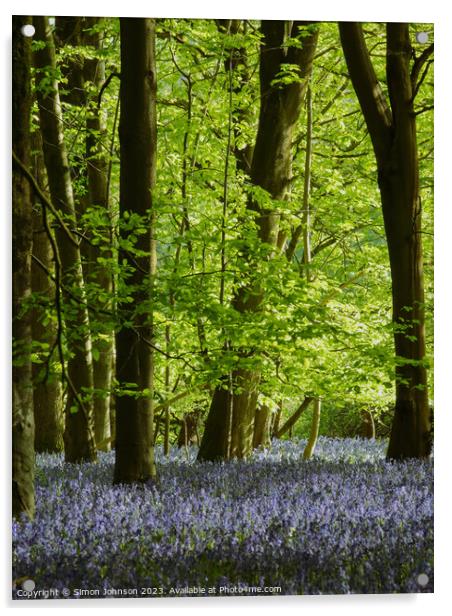 Bluebell Wood  Acrylic by Simon Johnson