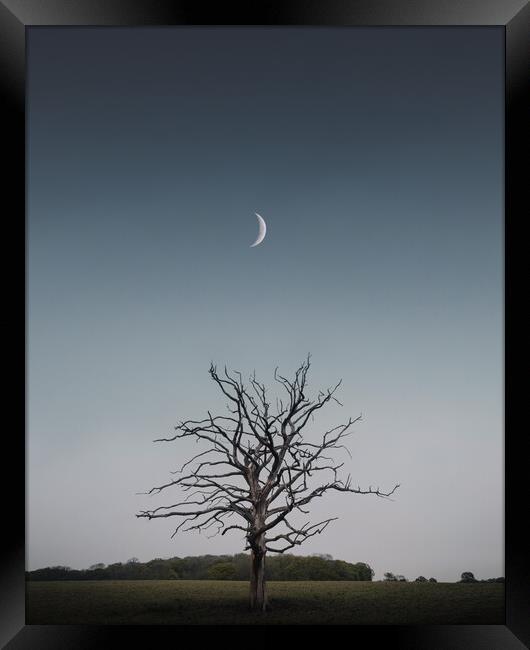 Crescent Moon and Tree Framed Print by Mark Jones