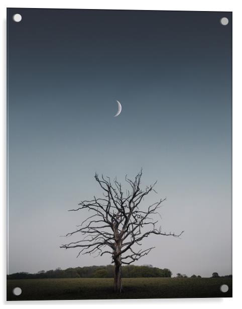 Crescent Moon and Tree Acrylic by Mark Jones