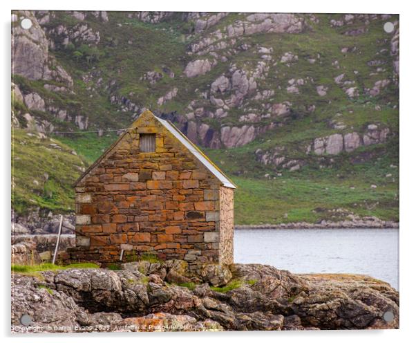 Stone hut Acrylic by Darrell Evans