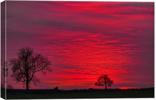 Sky sun Canvas Print by Dave Bradley