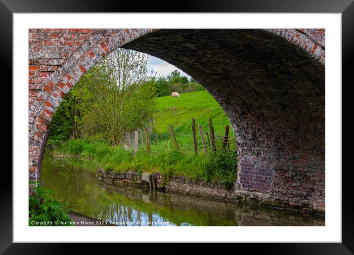 Bridge No.1 Grand Union Canal. Framed Mounted Print by Anthony Moore