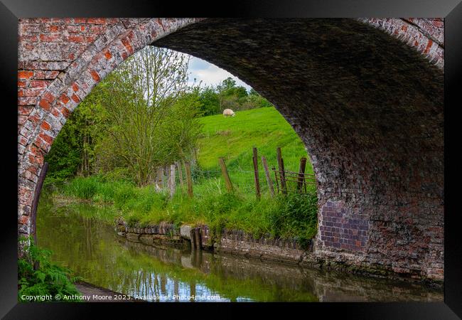 Bridge No.1 Grand Union Canal. Framed Print by Anthony Moore
